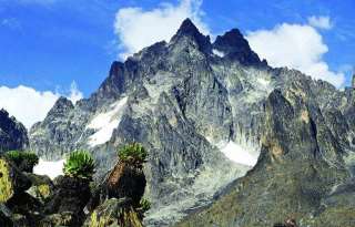 kenya landscape 320x205