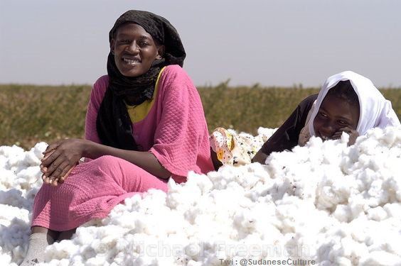 Women agriculture and rural development, 1994