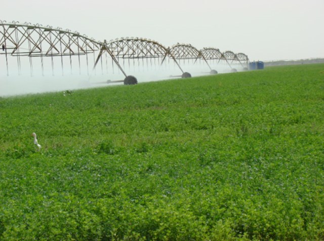 Land grab and institutional legacy of colonialism: the case of Sudan